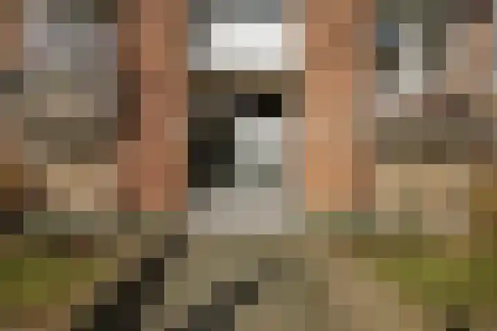 Joost van den Vondellaan 4 Deventer thumbnail 24