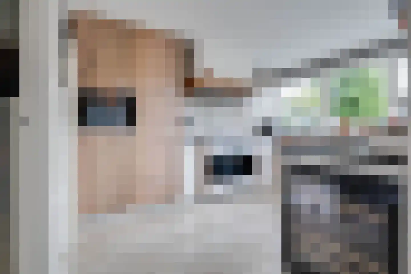 Joost van den Vondellaan 44 Sommelsdijk thumbnail 20