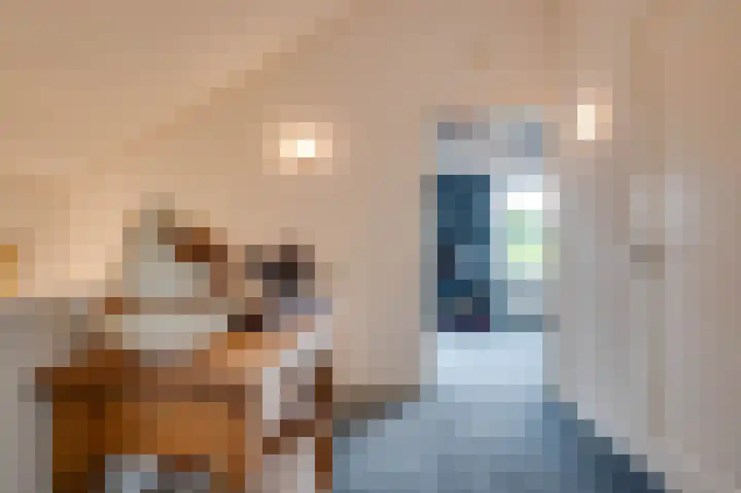 Joost van den Vondellaan 44 Sommelsdijk thumbnail 22