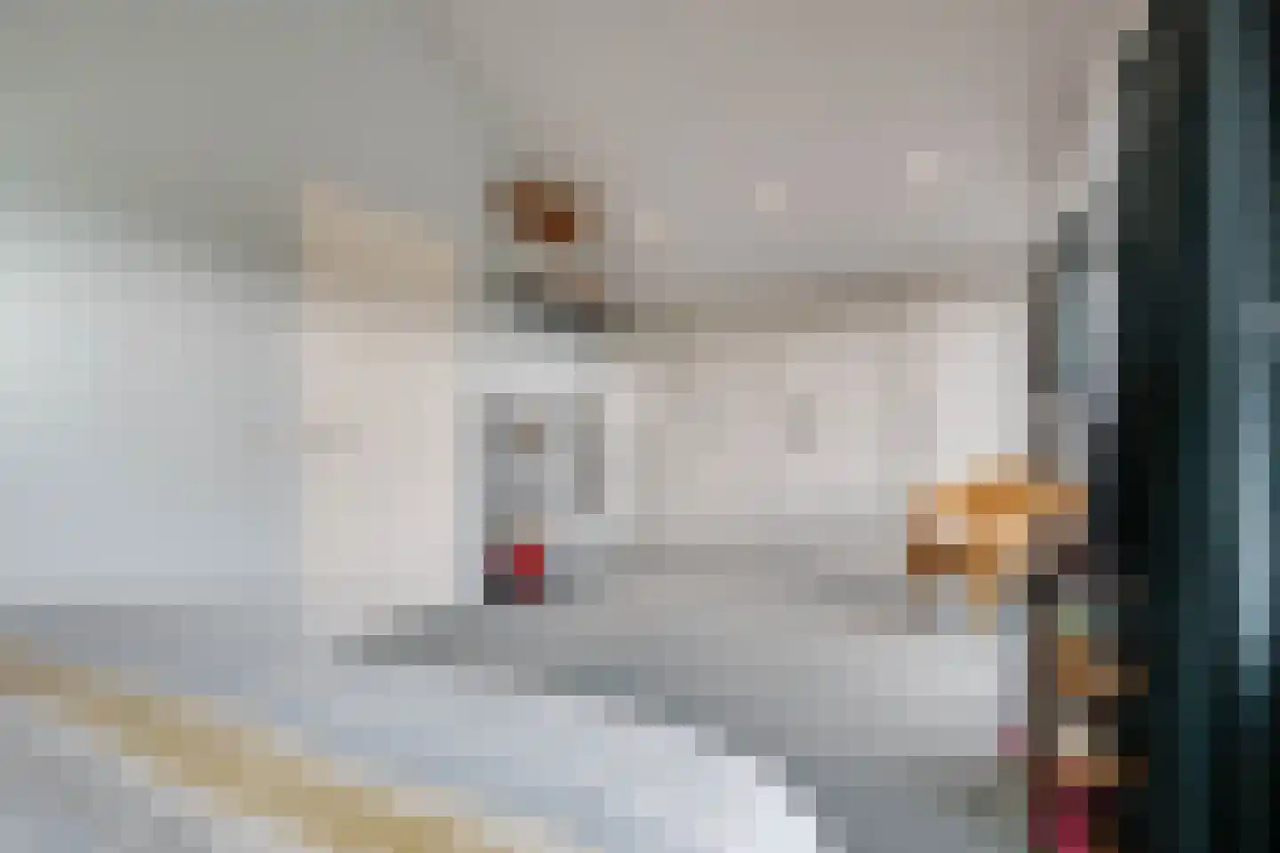 Joost van den Vondellaan 44 Sommelsdijk thumbnail 30