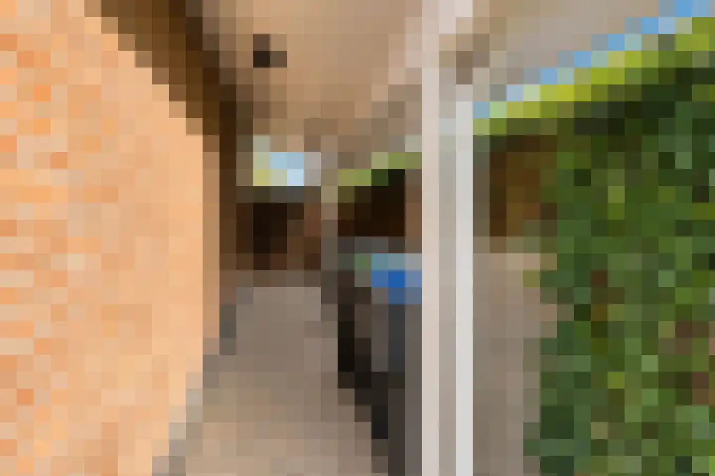 Joost van den Vondellaan 44 Sommelsdijk thumbnail 35