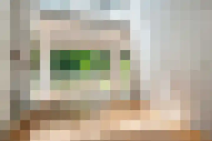Joost van den Vondellaan 49 Apeldoorn thumbnail 16