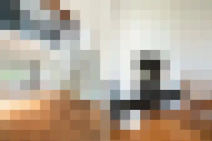 Joost van den Vondellaan 49 Apeldoorn thumbnail 17