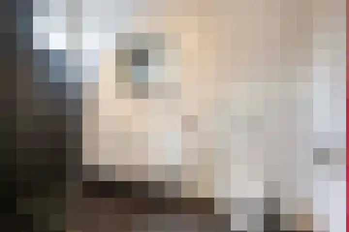 Joost van den Vondellaan 49 Apeldoorn thumbnail 24