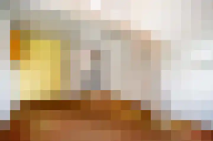 Joost van den Vondellaan 49 Apeldoorn thumbnail 32