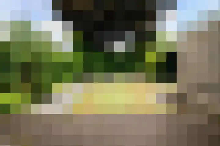 Joost van den Vondellaan 49 Apeldoorn thumbnail 36
