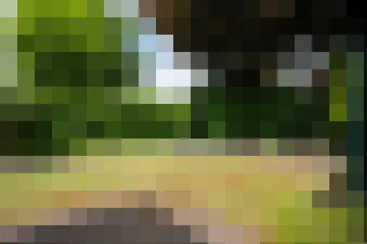 Joost van den Vondellaan 49 Apeldoorn thumbnail 37