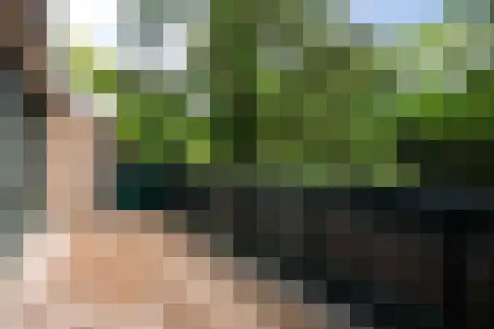 Joost van den Vondellaan 49 Apeldoorn thumbnail 41