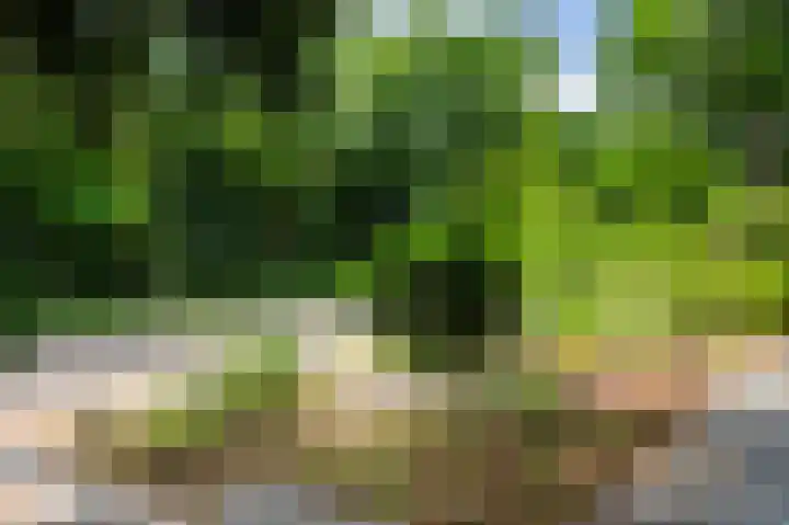 Joost van den Vondellaan 49 Apeldoorn thumbnail 5