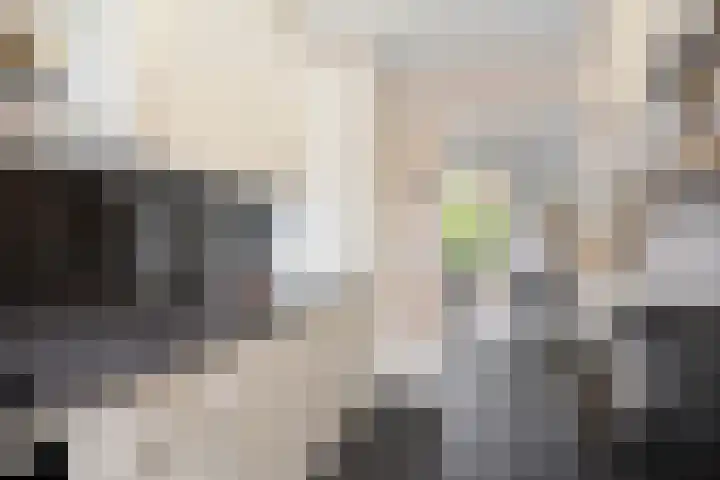 Joost van den Vondellaan 55 Deventer thumbnail 14
