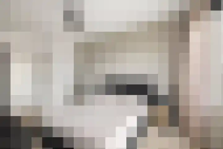 Joost van den Vondellaan 55 Deventer thumbnail 19