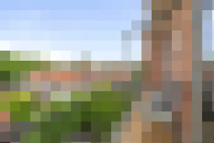 Joost van den Vondellaan 55 Deventer thumbnail 20