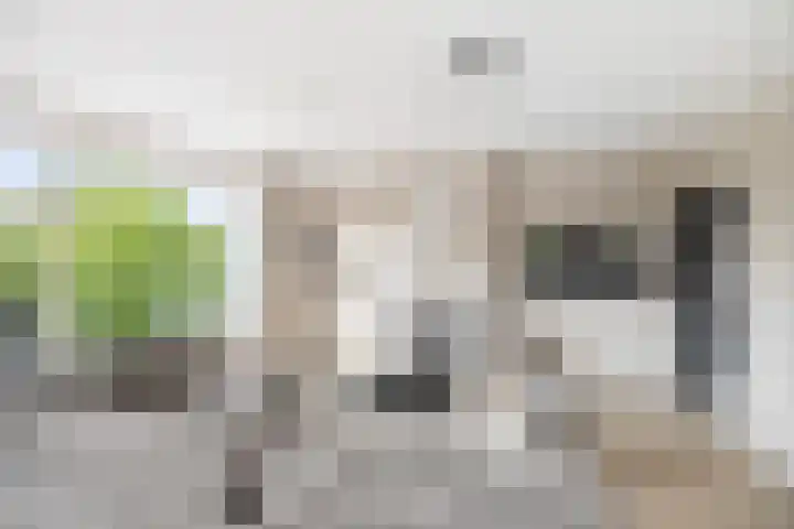 Joost van den Vondellaan 55 Deventer thumbnail 5