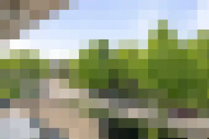 Joost van den Vondellaan 55 Deventer thumbnail 8
