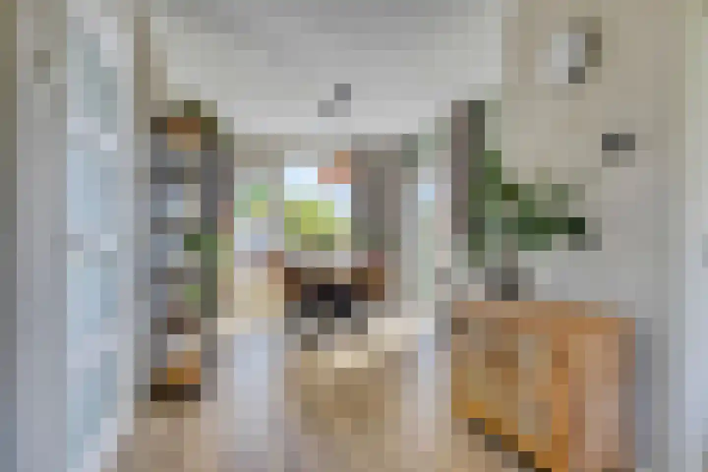 Joost van den Vondellaan 57 Deventer thumbnail 14