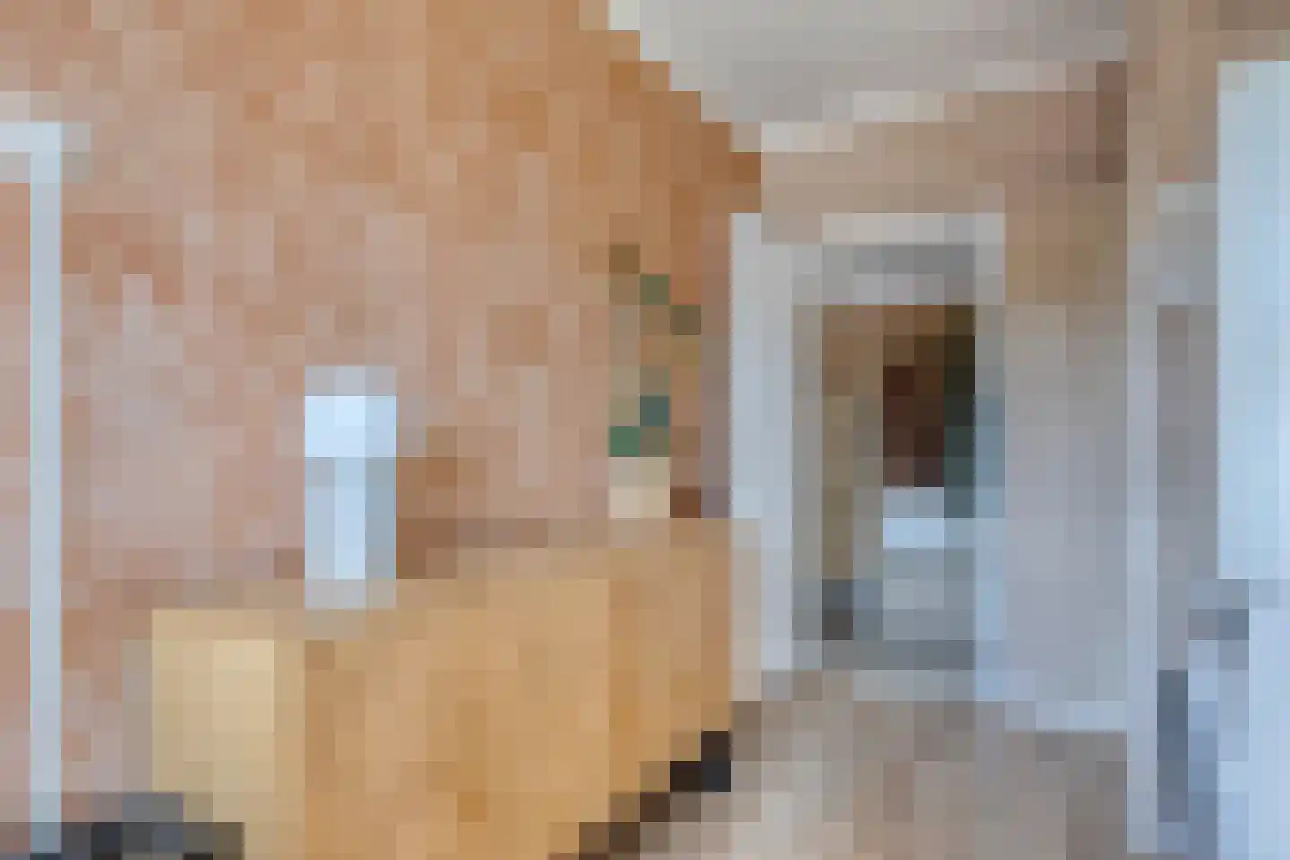 Joost van den Vondellaan 57 Deventer thumbnail 27