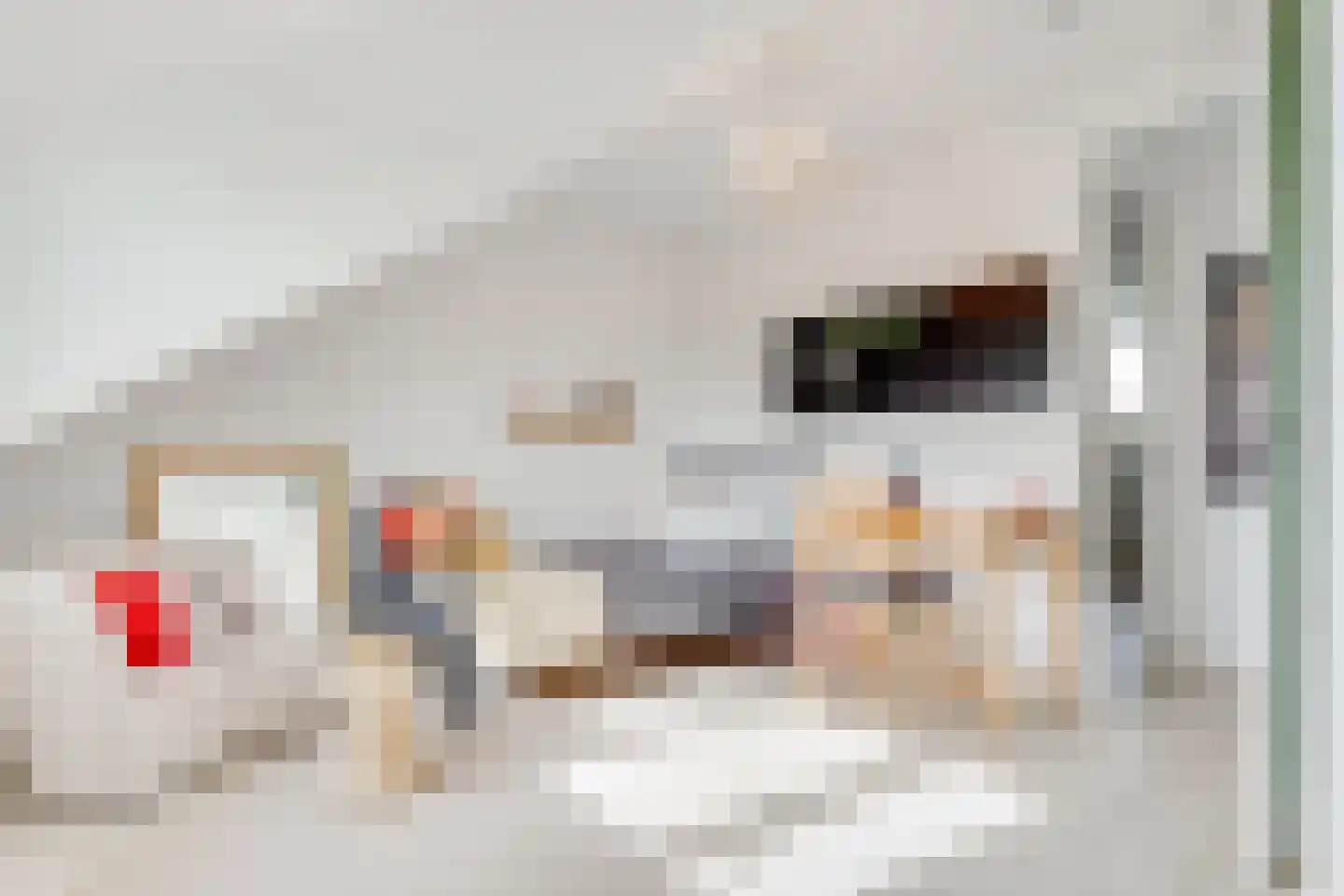 Joost van den Vondellaan 60 Zeist thumbnail 35