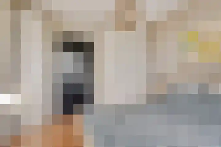 Joost van den Vondellaan 8 Deventer thumbnail 12