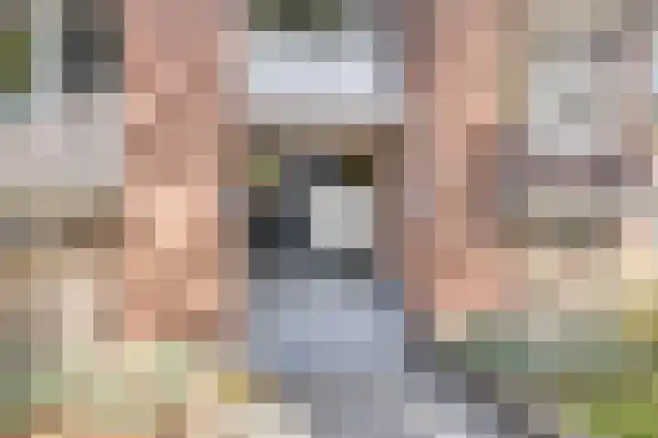 Joost van den Vondellaan 8 Deventer thumbnail 20