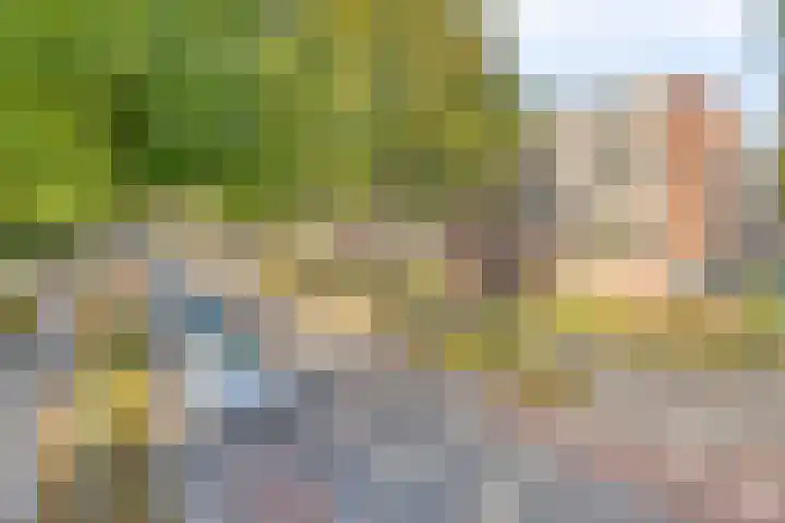 Joost van den Vondellaan 8 Deventer thumbnail 21
