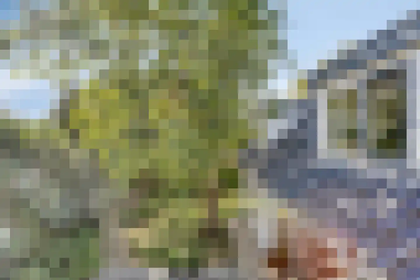 Joost van den Vondelstraat 1 Kesteren thumbnail 34