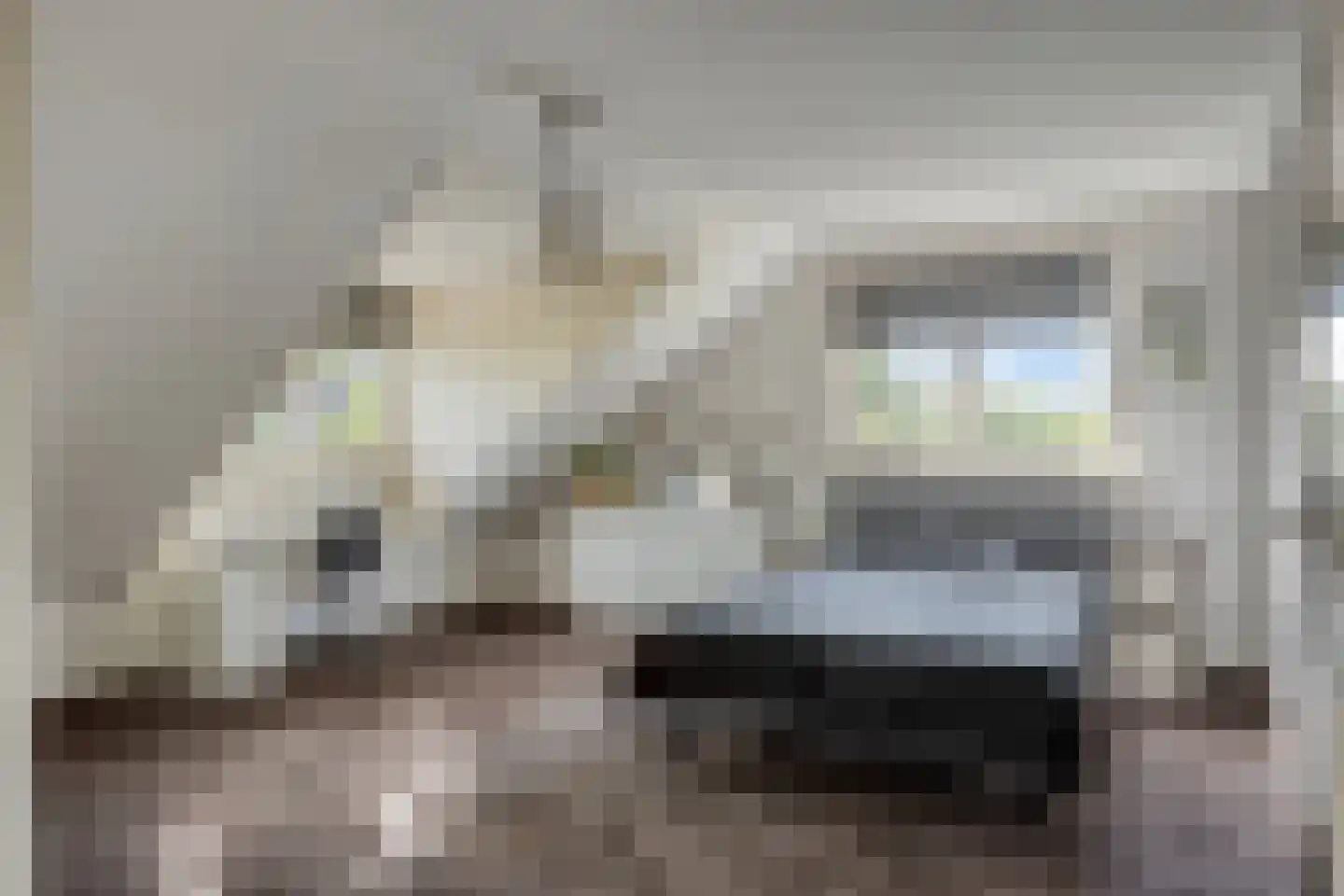 Joost van den Vondelstraat 1 Kesteren thumbnail 39