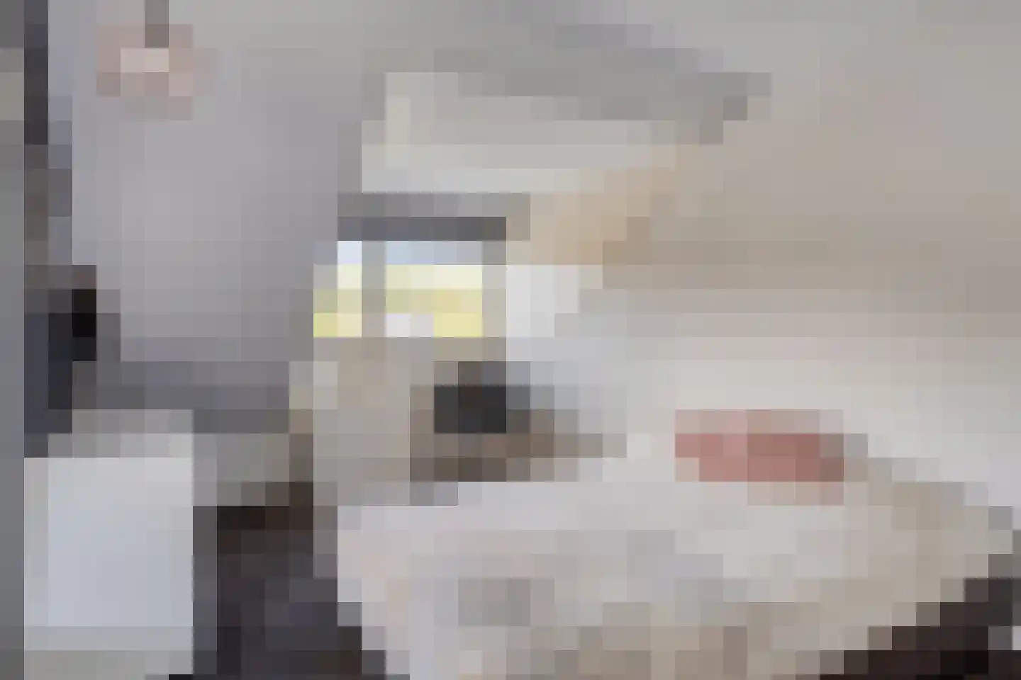 Joost van den Vondelstraat 1 Kesteren thumbnail 42