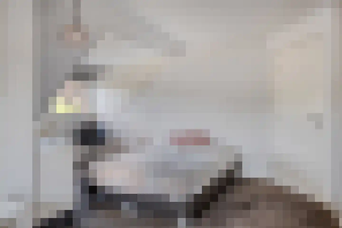 Joost van den Vondelstraat 1 Kesteren thumbnail 44