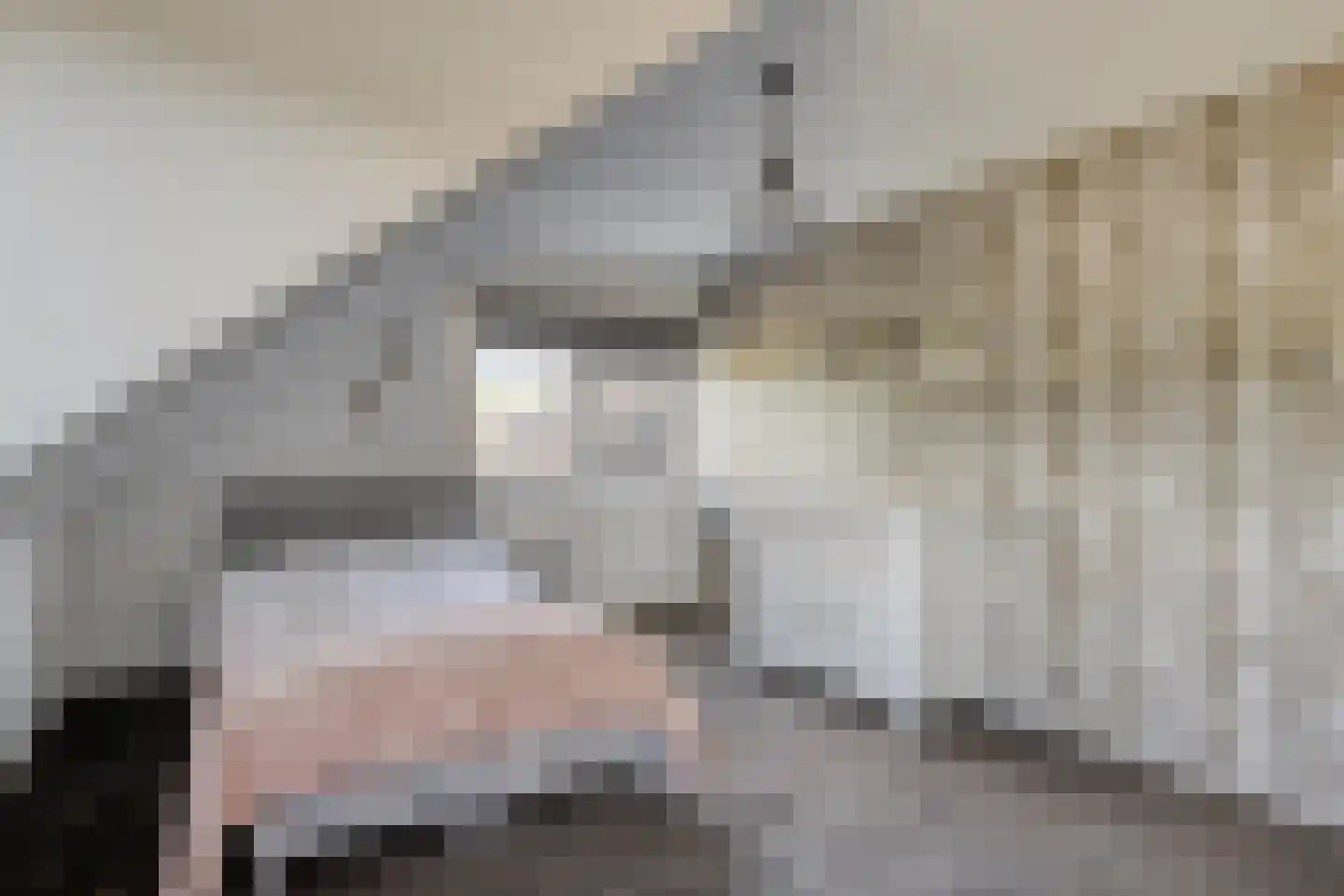 Joost van den Vondelstraat 1 Kesteren thumbnail 45