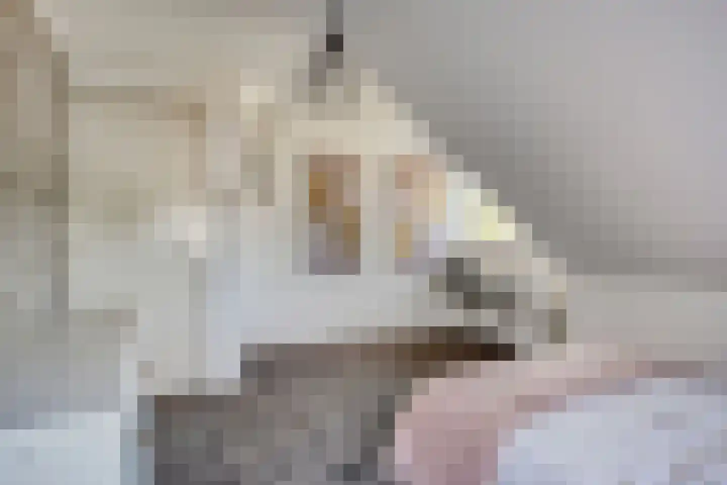 Joost van den Vondelstraat 1 Kesteren thumbnail 46