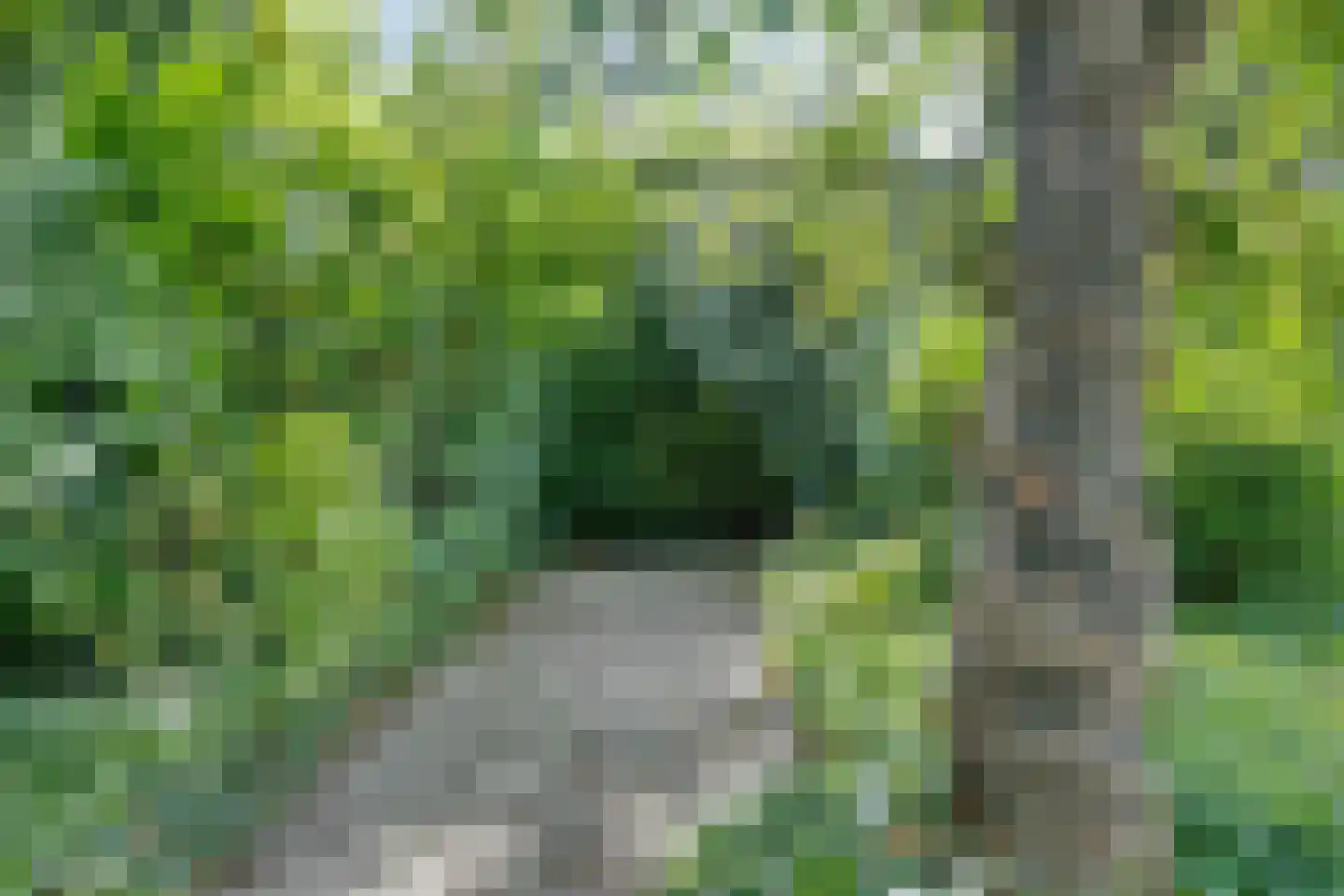 Joost van den Vondelstraat 1 Kesteren thumbnail 69