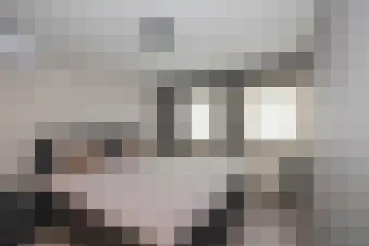 Joost van den Vondelstraat 14 A Rijssen thumbnail 16