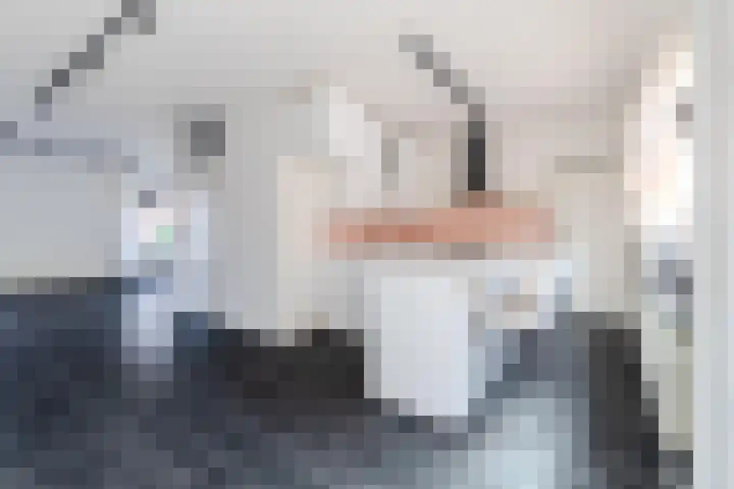 Joost van den Vondelstraat 18 Elsloo thumbnail 12