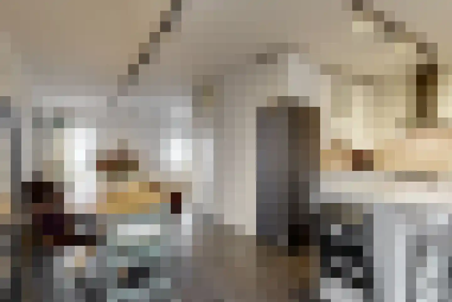 Joost van den Vondelstraat 18 Elsloo thumbnail 12