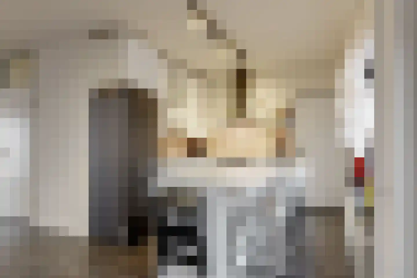 Joost van den Vondelstraat 18 Elsloo thumbnail 13