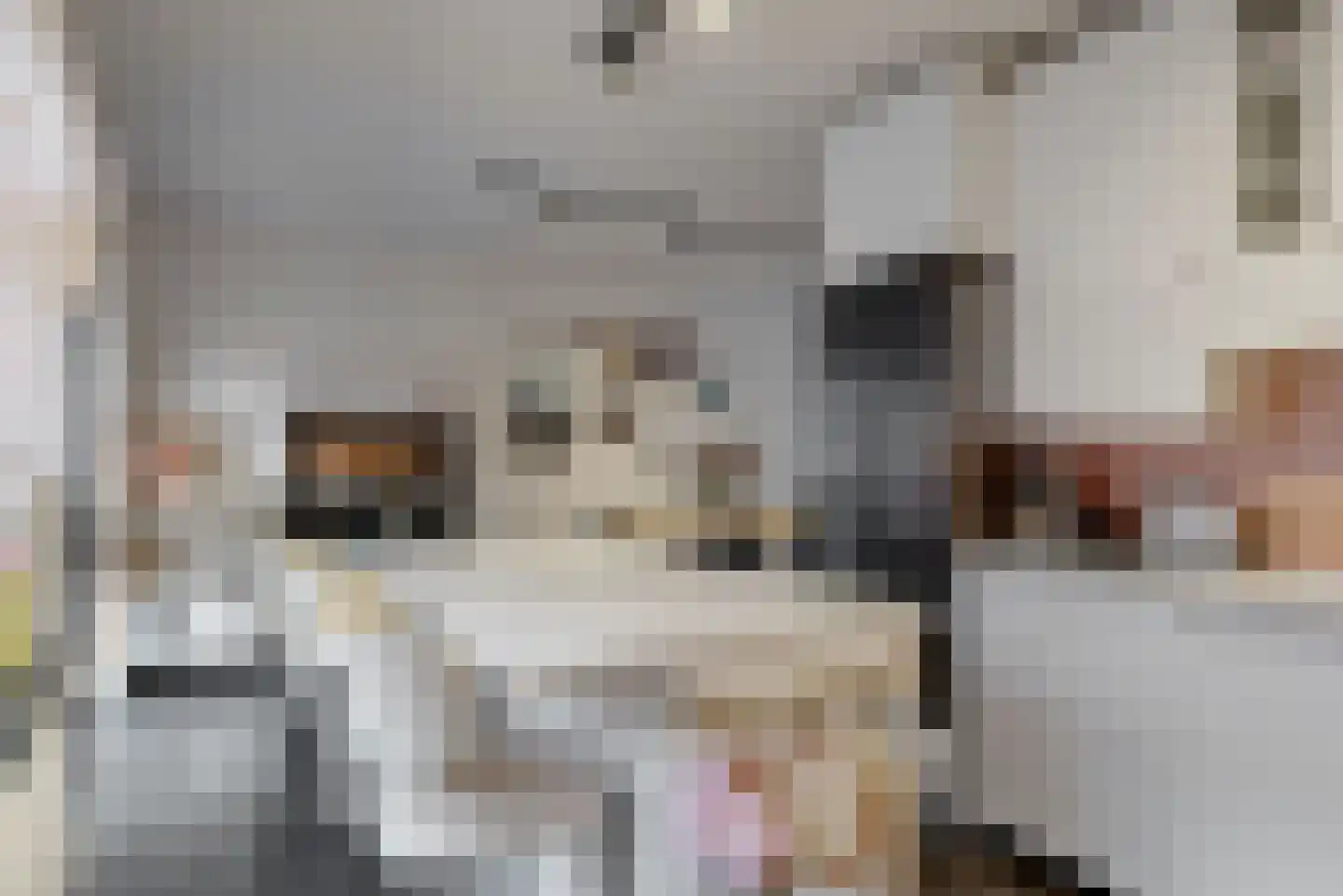 Joost van den Vondelstraat 18 Elsloo thumbnail 14