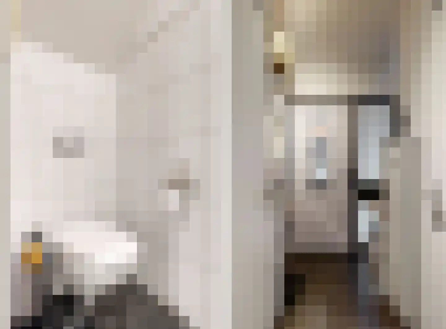 Joost van den Vondelstraat 18 Elsloo thumbnail 15