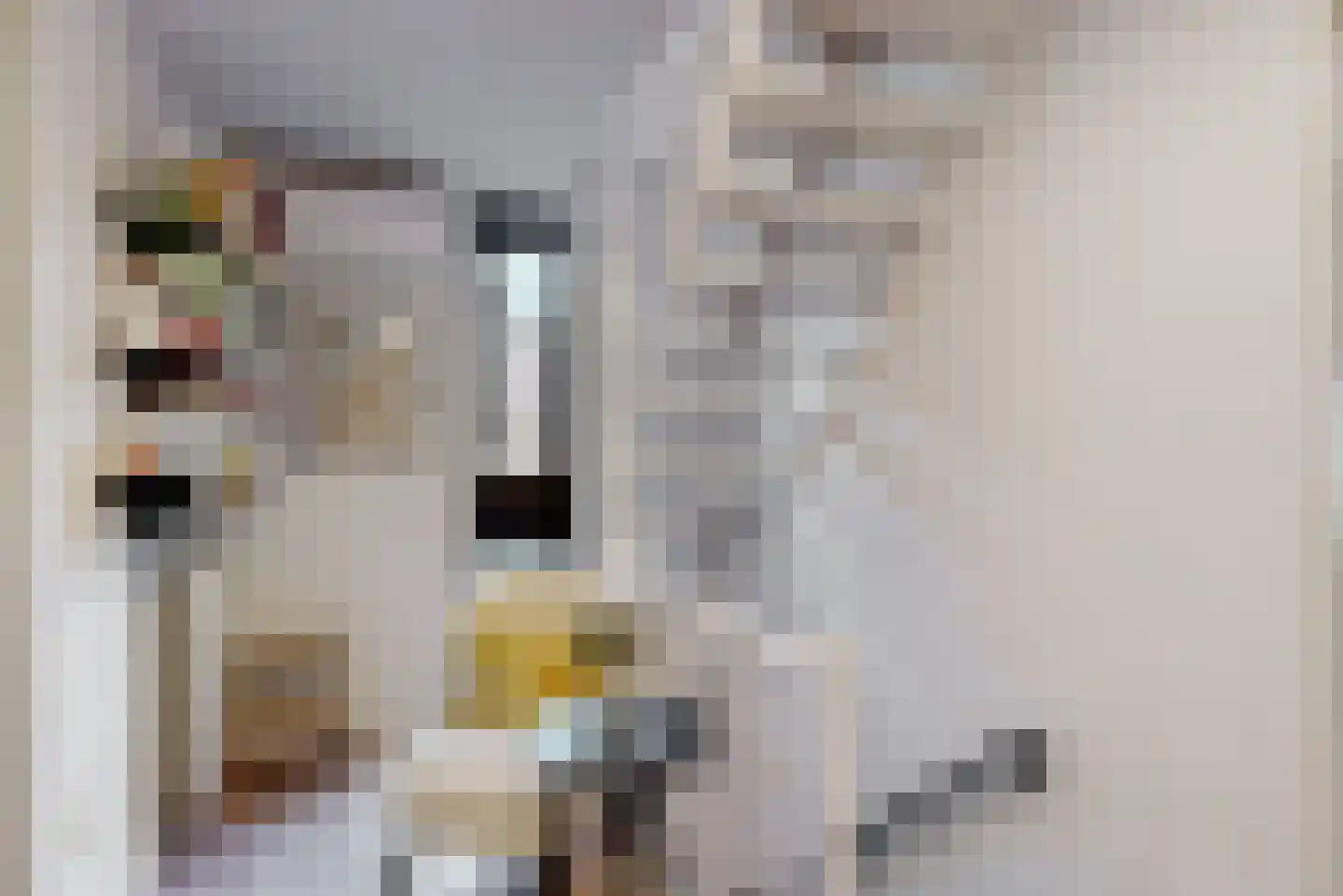 Joost van den Vondelstraat 18 Elsloo thumbnail 16