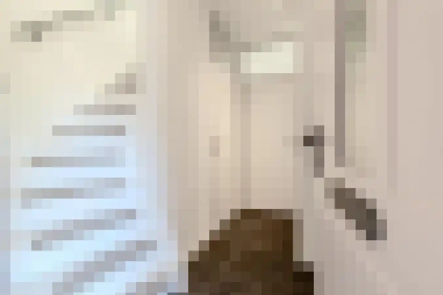 Joost van den Vondelstraat 18 Elsloo thumbnail 19