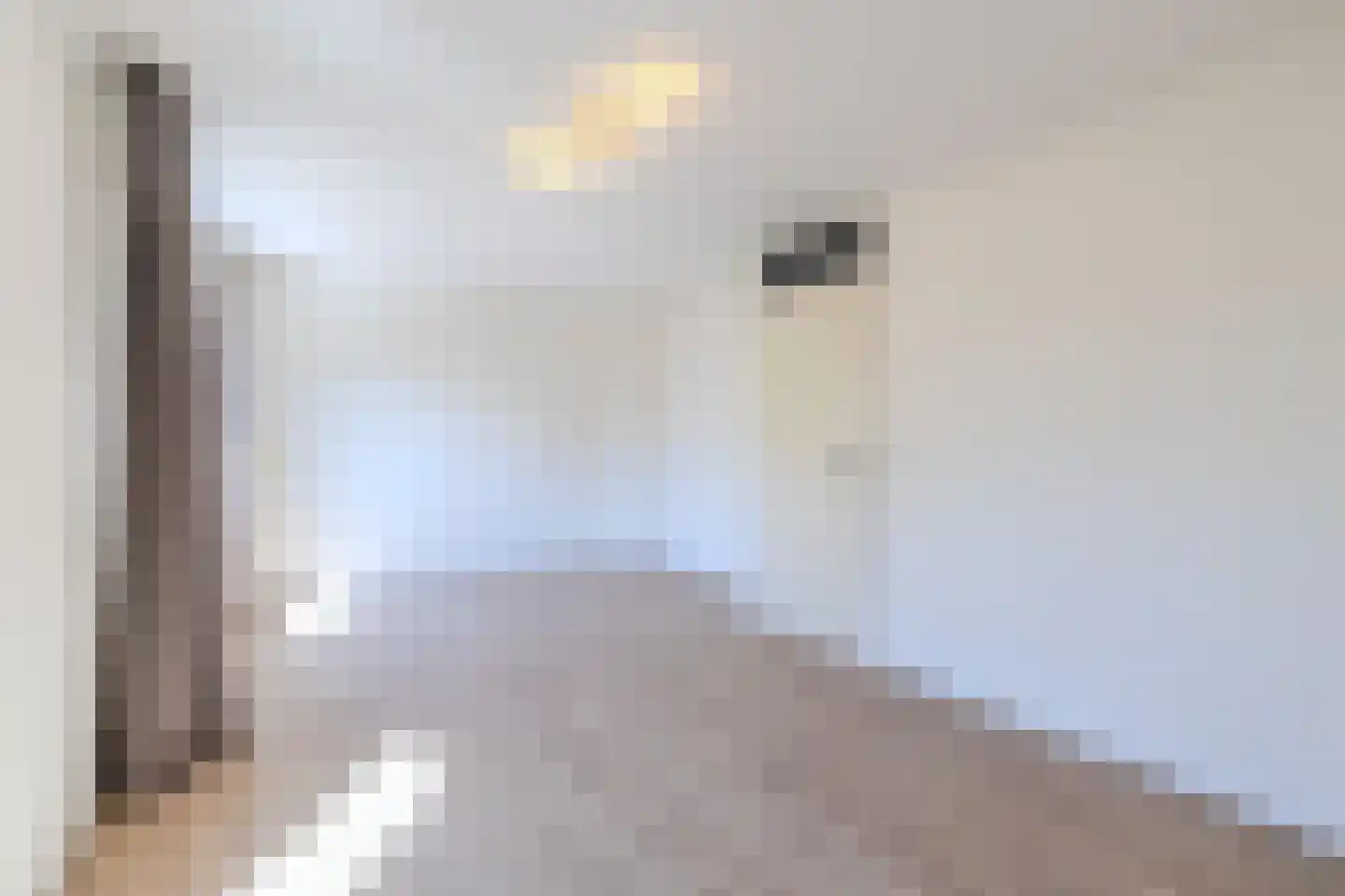 Joost van den Vondelstraat 18 Elsloo thumbnail 23