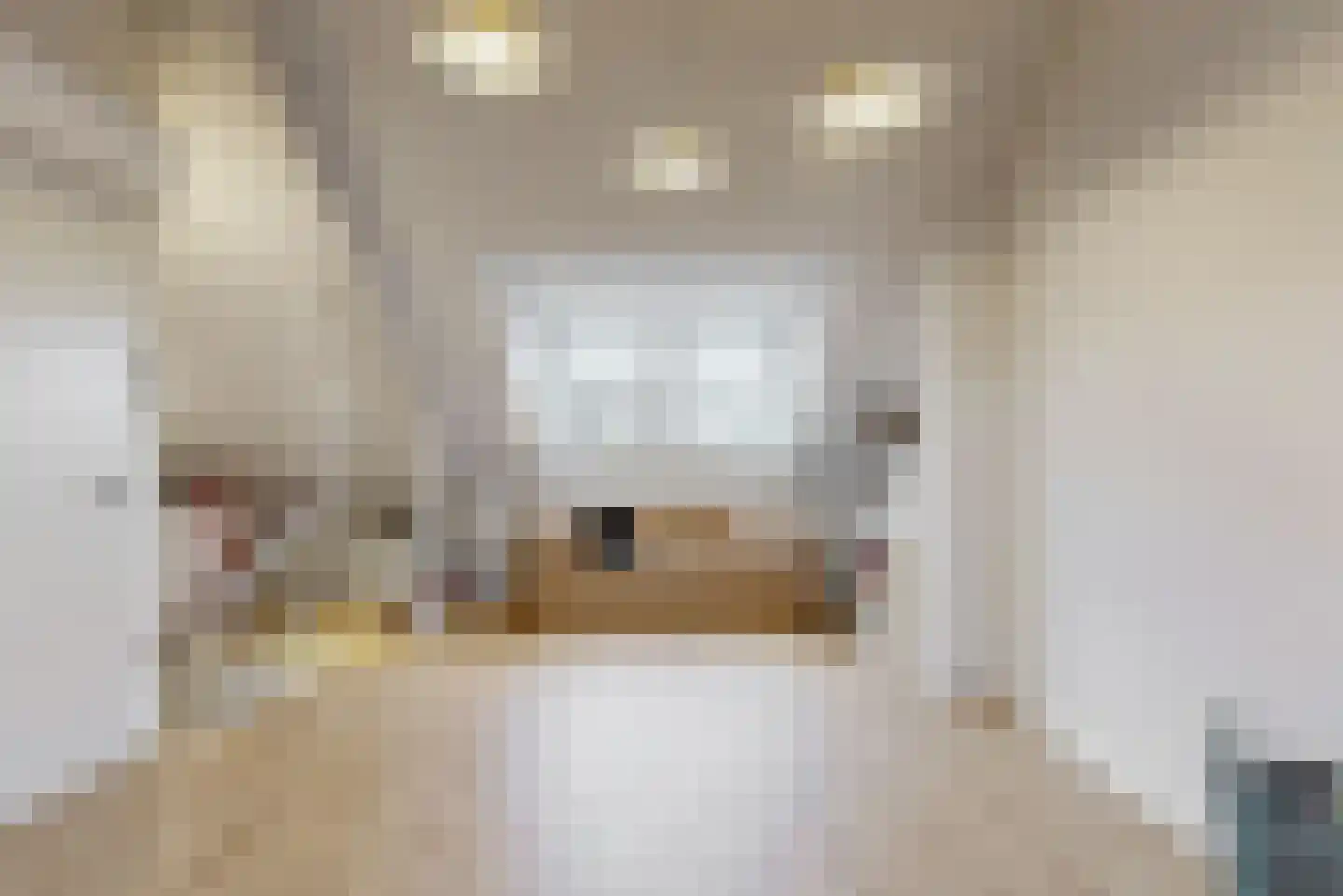 Joost van den Vondelstraat 18 Elsloo thumbnail 25