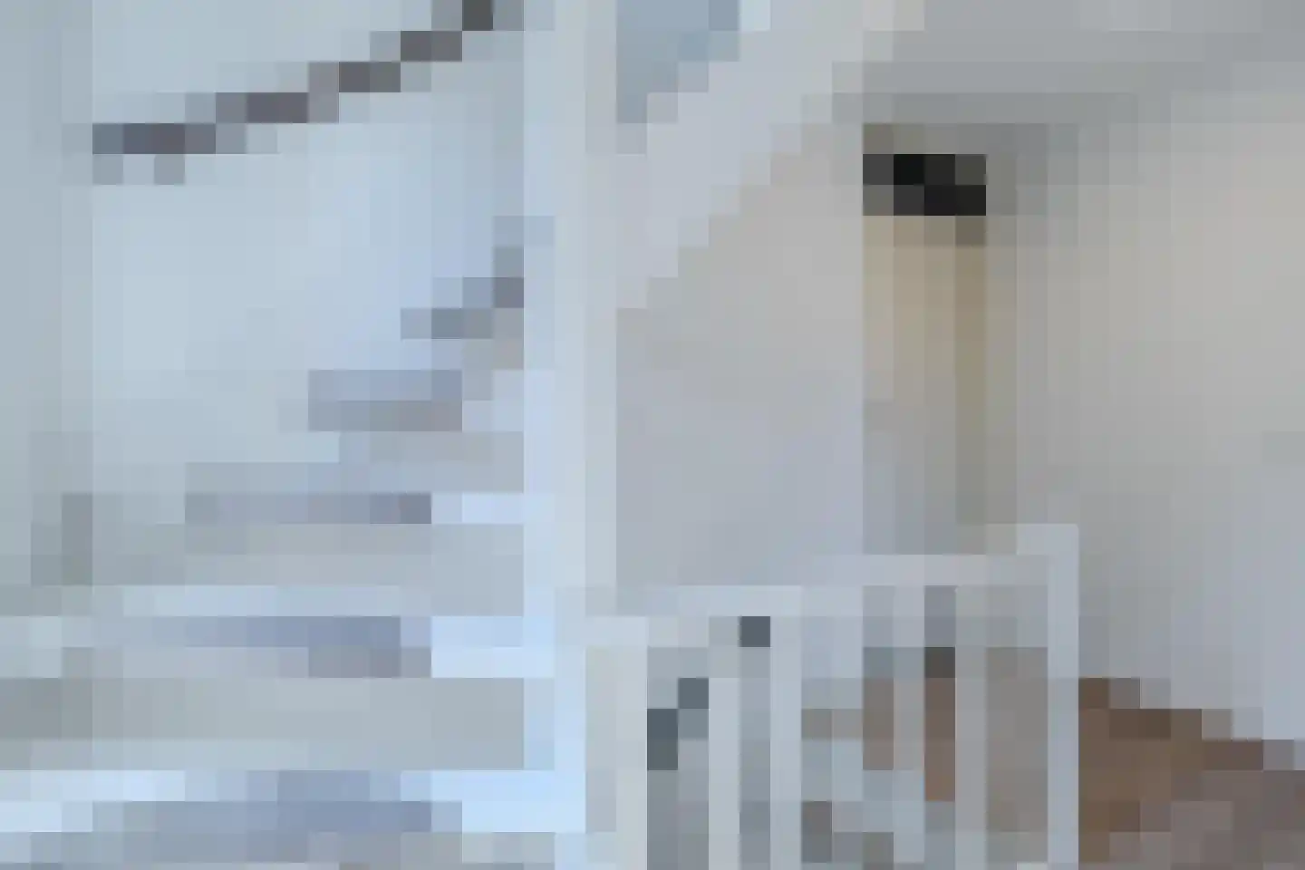 Joost van den Vondelstraat 18 Elsloo thumbnail 34