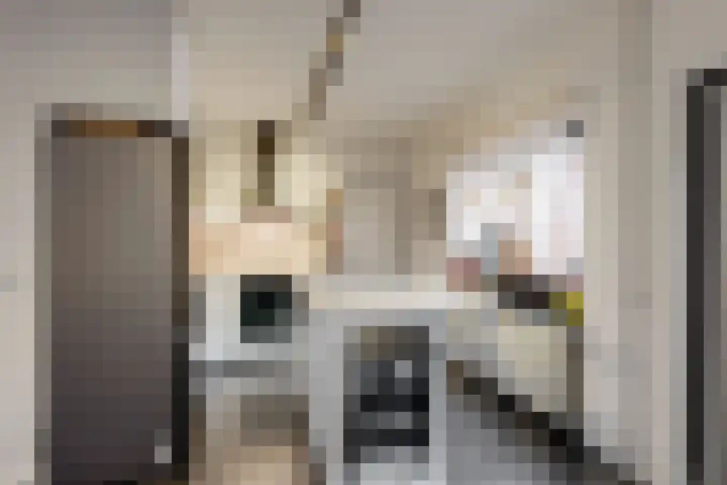 Joost van den Vondelstraat 18 Elsloo thumbnail 4