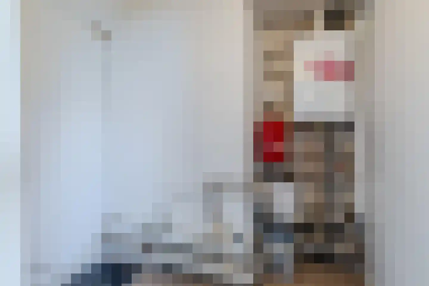 Joost van den Vondelstraat 18 Elsloo thumbnail 41