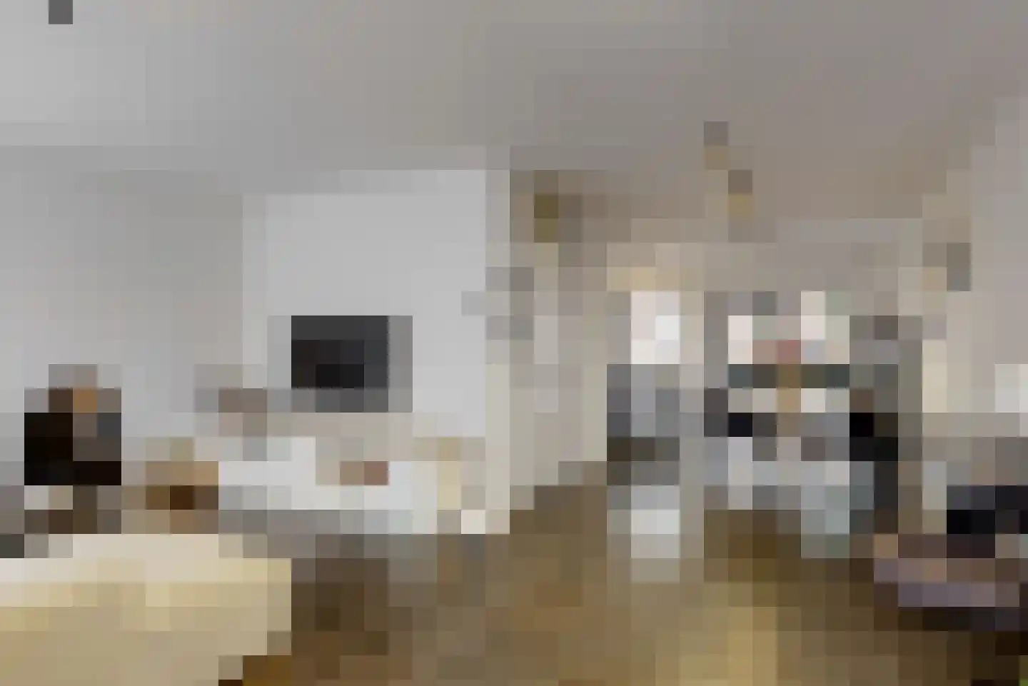 Joost van den Vondelstraat 18 Elsloo thumbnail 8