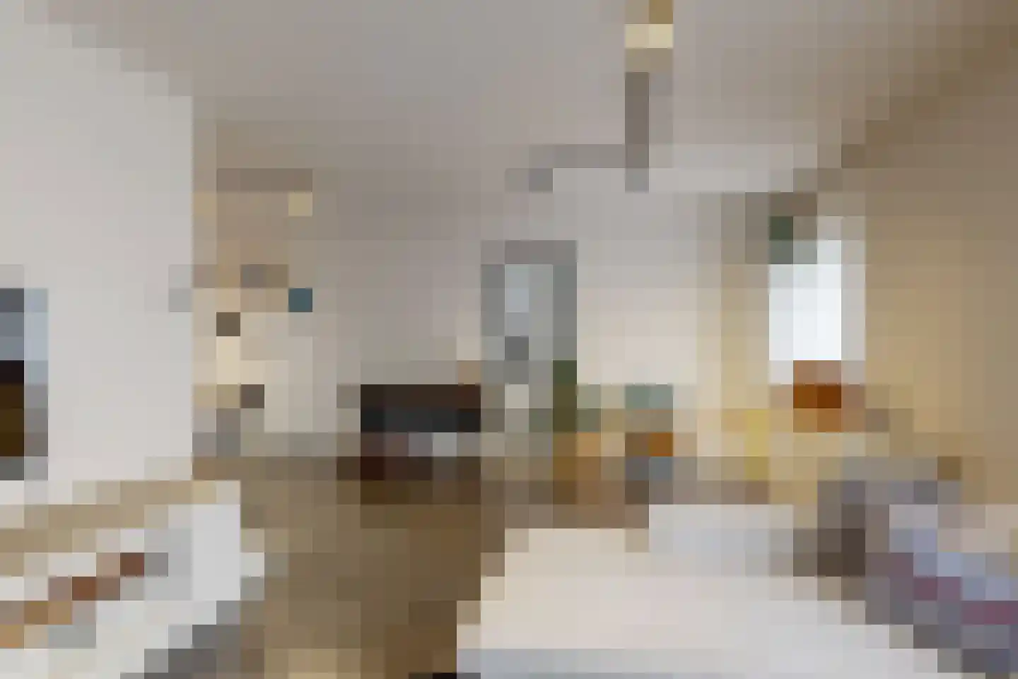 Joost van den Vondelstraat 18 Elsloo thumbnail 9