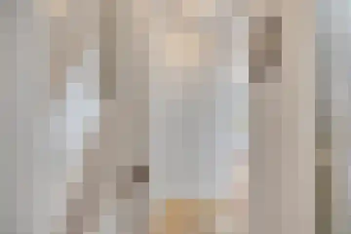 Joost van den Vondelstraat 18 Sliedrecht thumbnail 12