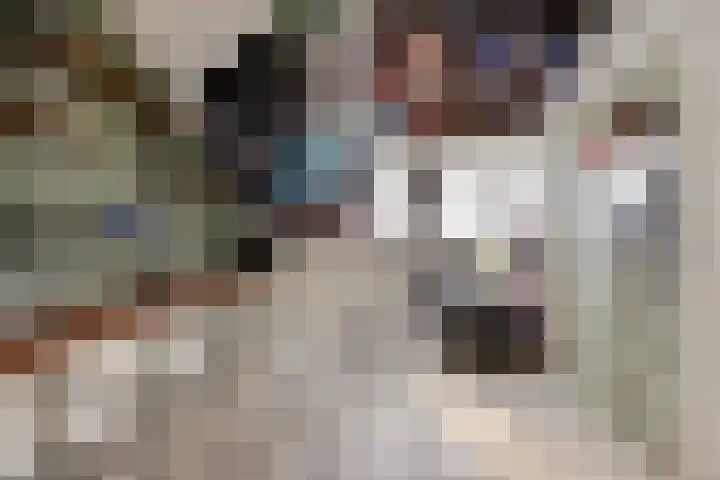 Joost van den Vondelstraat 18 Sliedrecht thumbnail 26
