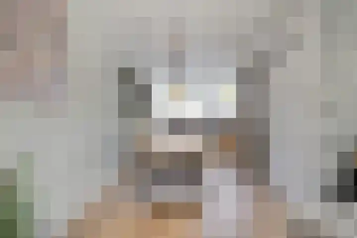 Joost van den Vondelstraat 18 Sliedrecht thumbnail 4
