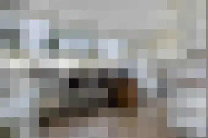 Joost van den Vondelstraat 18 Sliedrecht thumbnail 7
